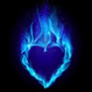 Meet your Posher, Bridgette